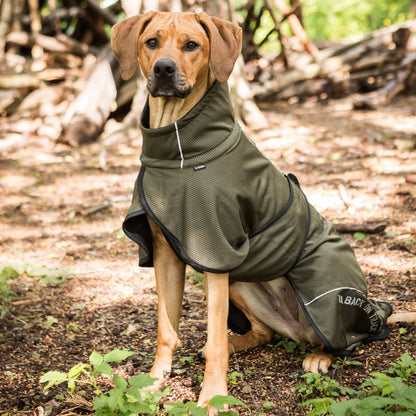 Abrigo Mesh perros BAY Back on Track (cola baja)