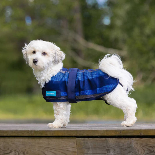 Cool on Track® 2.0 Abrigo refrigerante para perro