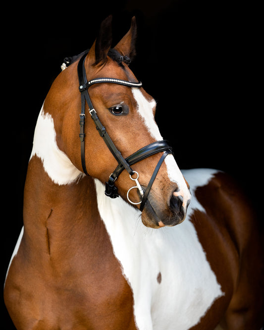 Fair Bridle - Black 