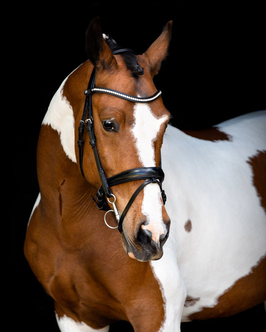 Fair Bridle - Black 