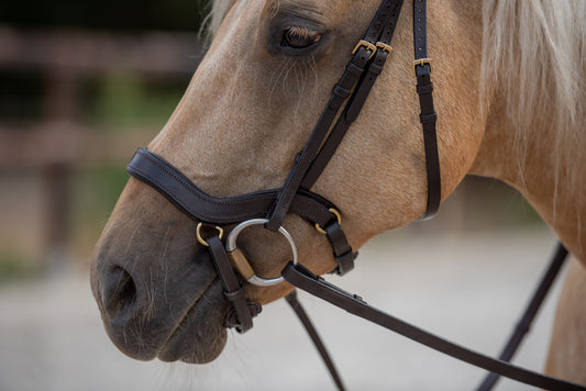 Bridle2Fit Muserola J1 Havanna completa
