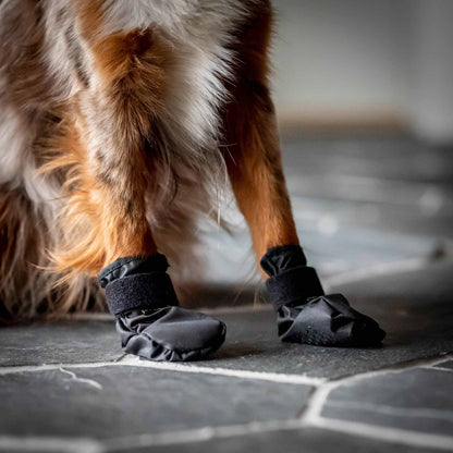 Botines para perro corto "Koda" Back on Track®