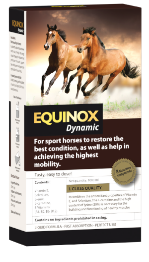 Equinox Dynamic