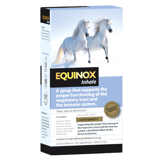 Equinox Inhale 1L