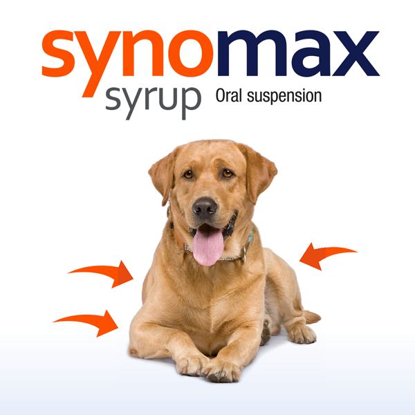 Synomax Jarabe para perros